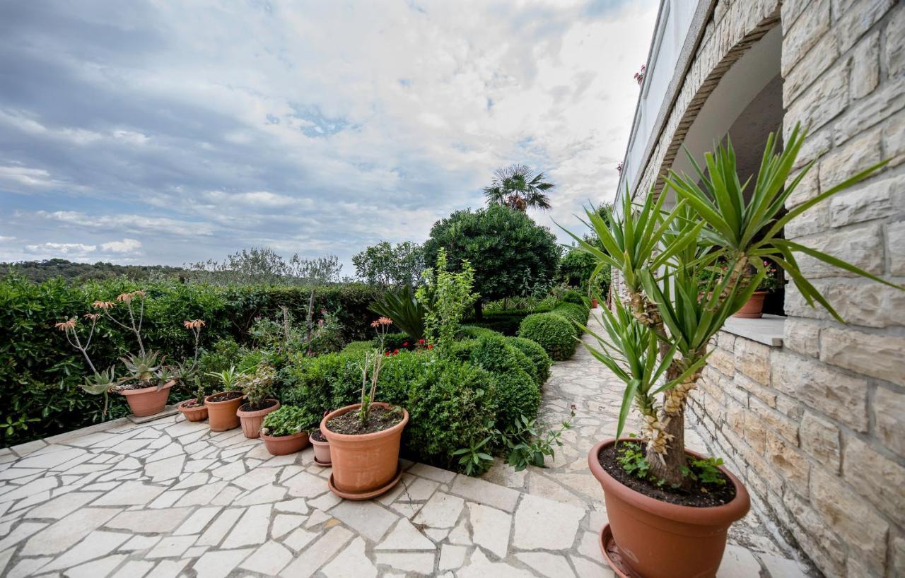 Apartments Anica קמפור מראה חיצוני תמונה