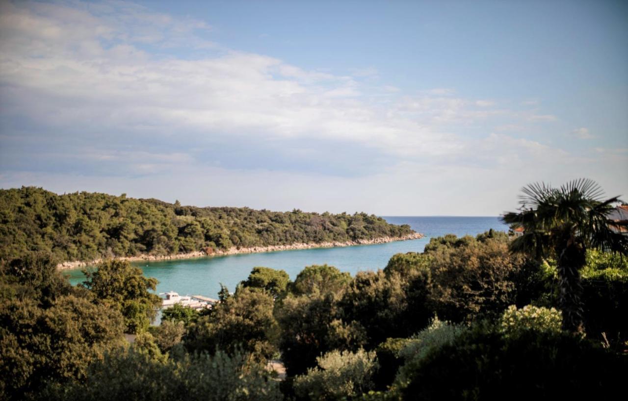 Apartments Anica קמפור מראה חיצוני תמונה