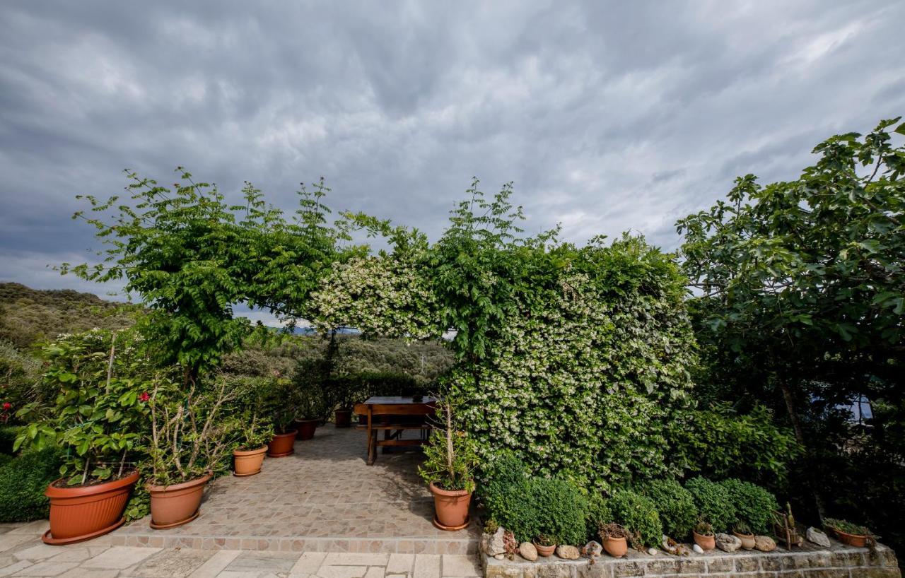 Apartments Anica קמפור מראה חיצוני תמונה